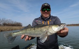 Kopyto Challenge, salau, Sarulesti. Robert Boanta versus Andy Arif!